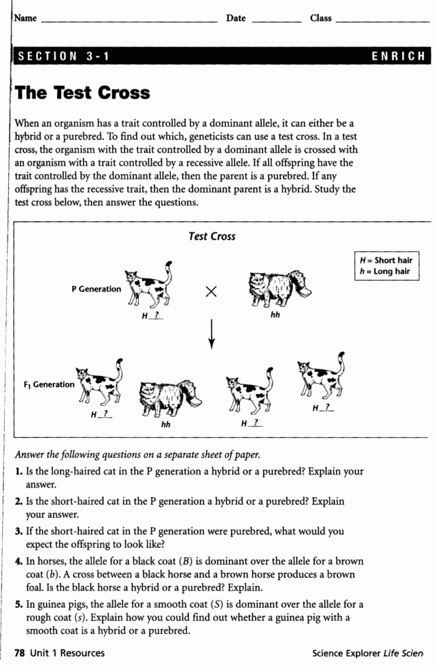 Genetics  7 Red Team