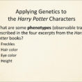 Genetics In Harry Potter's World Lesson 1  Ppt Download