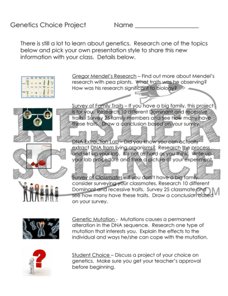 Genetics Lesson Plan – A Complete Science Lesson Using The