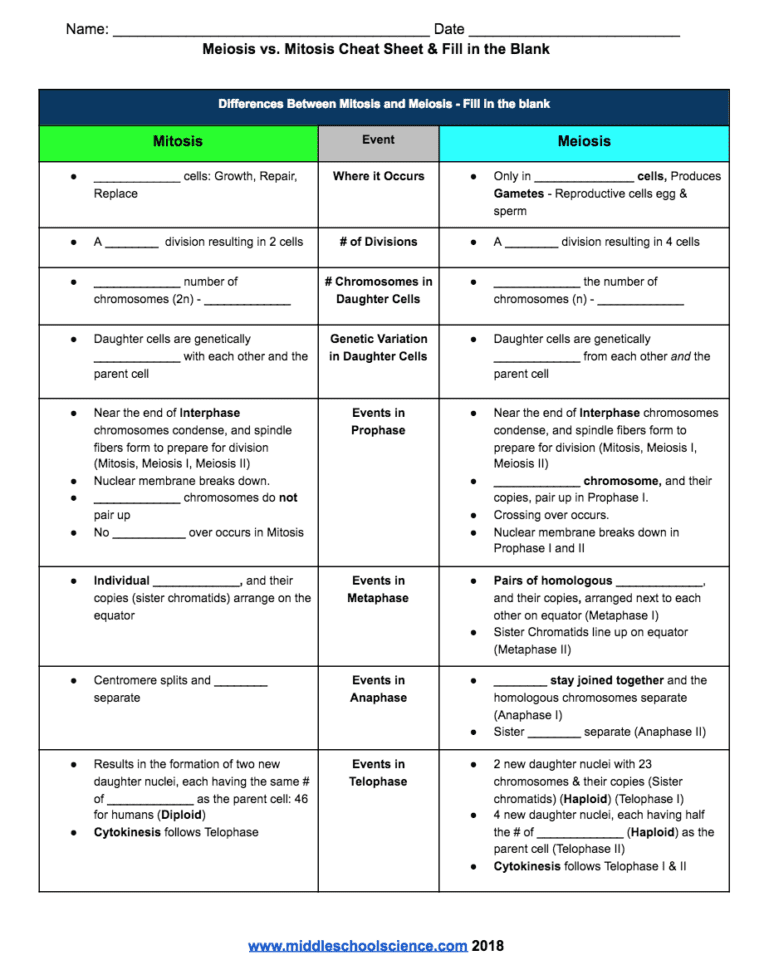 Genetics – Middle School Science Blog