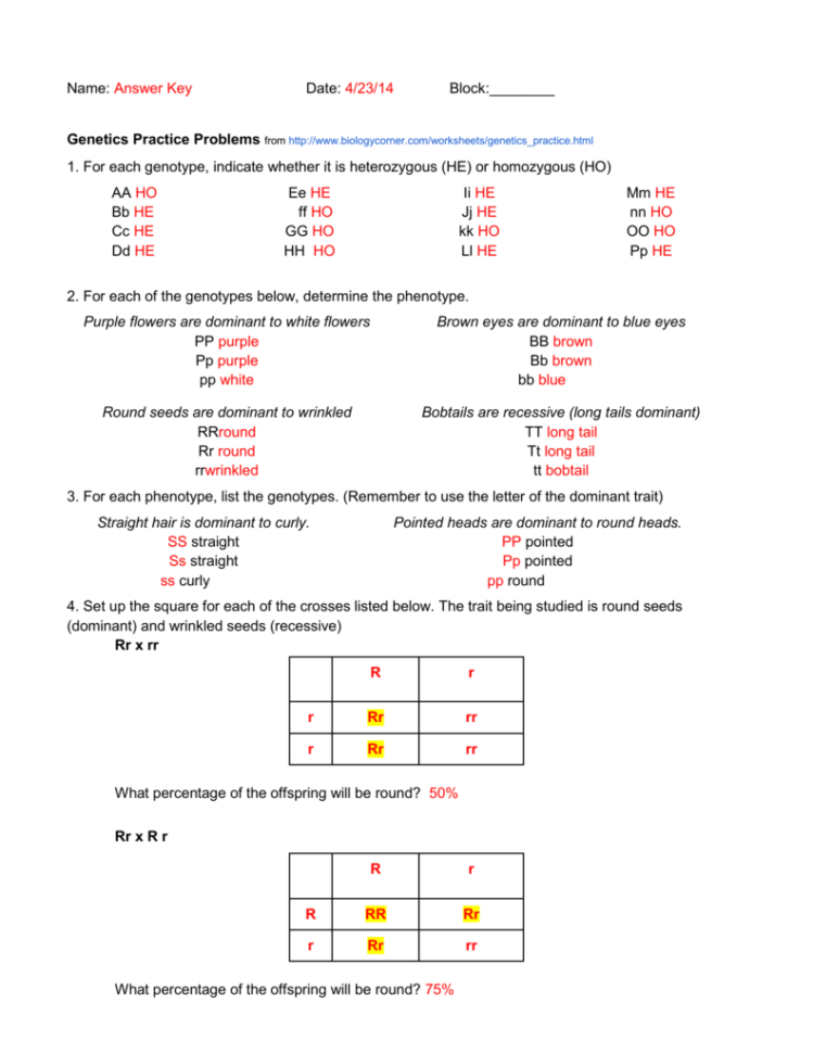 Genetics Worksheet Answers Db excel