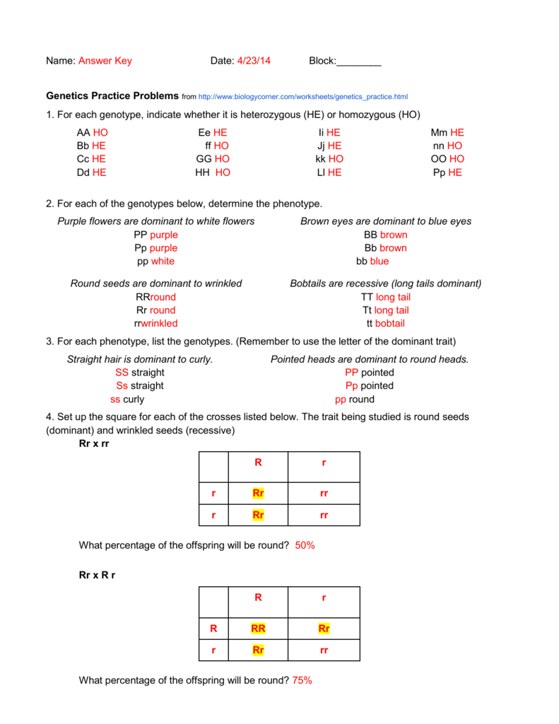 Genetics Practice Problems Worksheet Answer Key Db excel