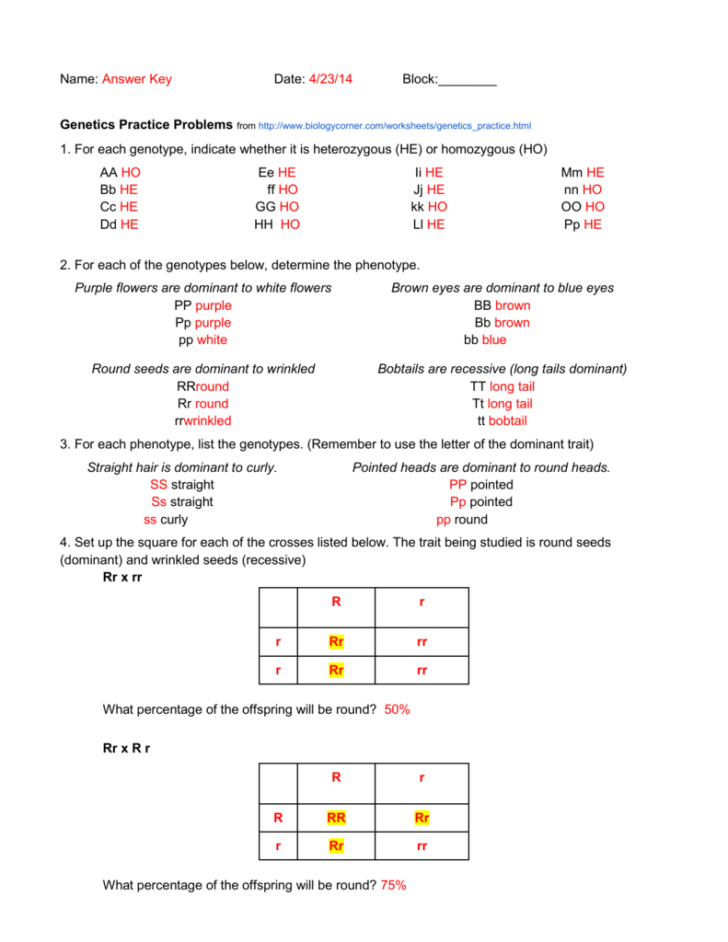 genetic-crosses-worksheet-db-excel