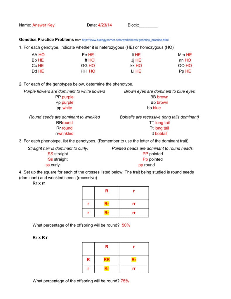 Genetics Practice Answer Key Db excel