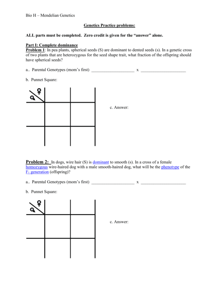 Genetics Practice Problems Worksheet Answers