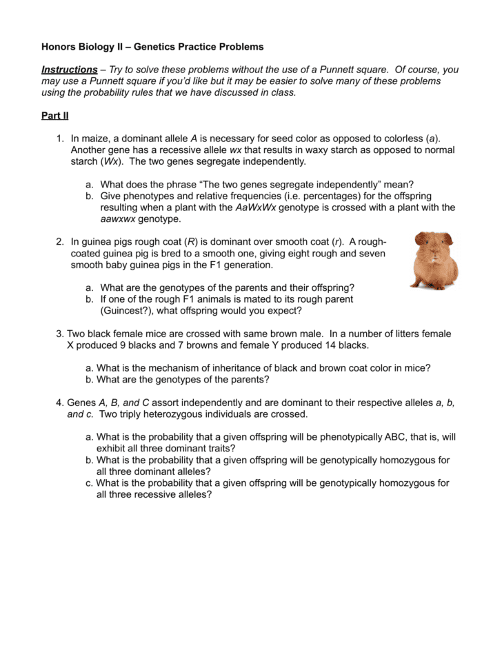 Genetics Practice Problems Simple Worksheet