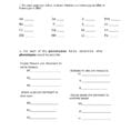 Genetics Practice Problems  Simple Worksheet 1 For Each