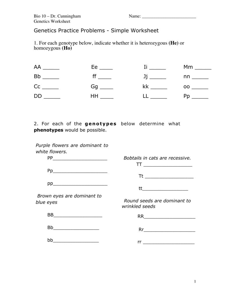 Genetics Practice Problems  Simple Worksheet 1 For Each
