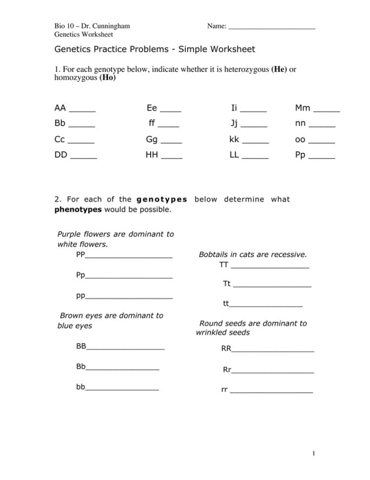 Genetics Practice Problems  Simple Worksheet He Ho Aa