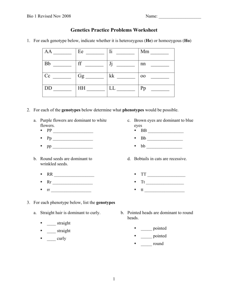 Genetics Practice Problems Worksheet