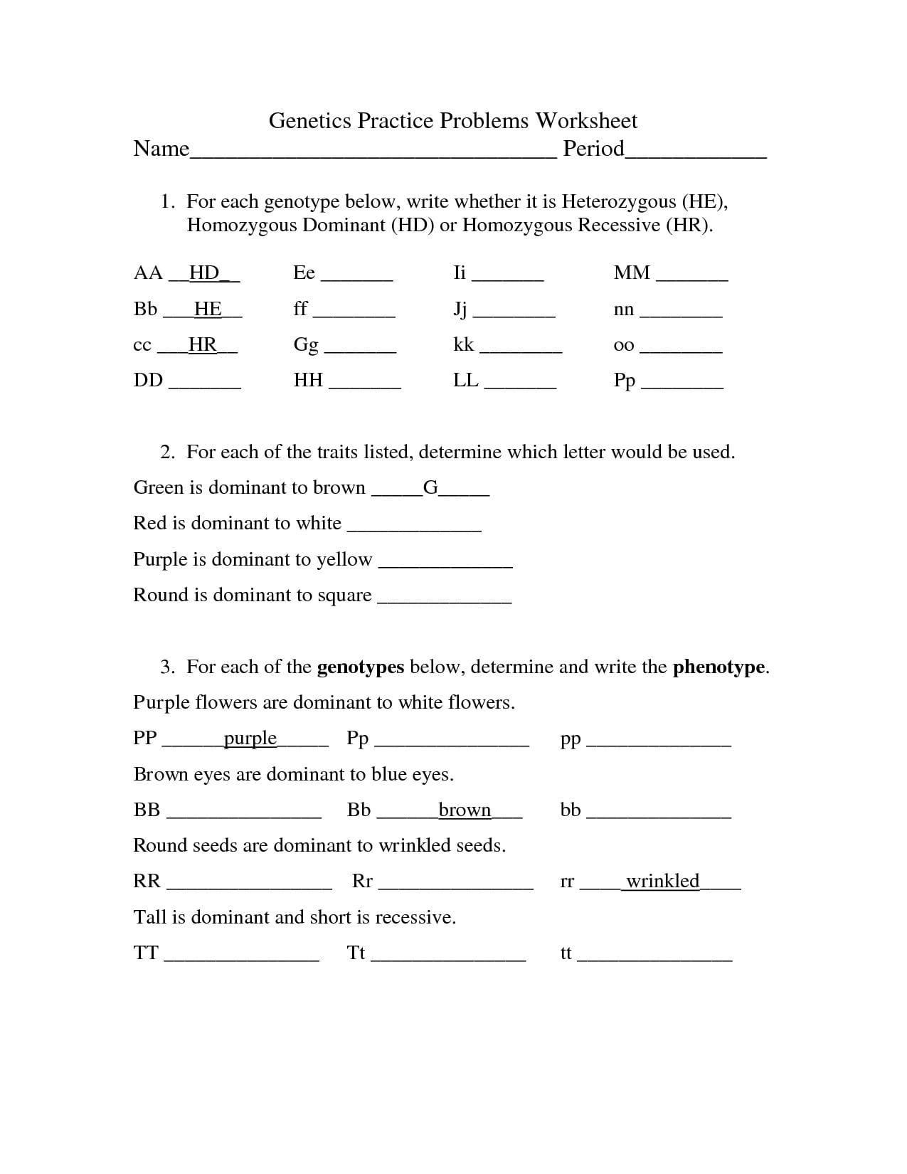 Genetics Practice Problems Worksheet Answers Db excel