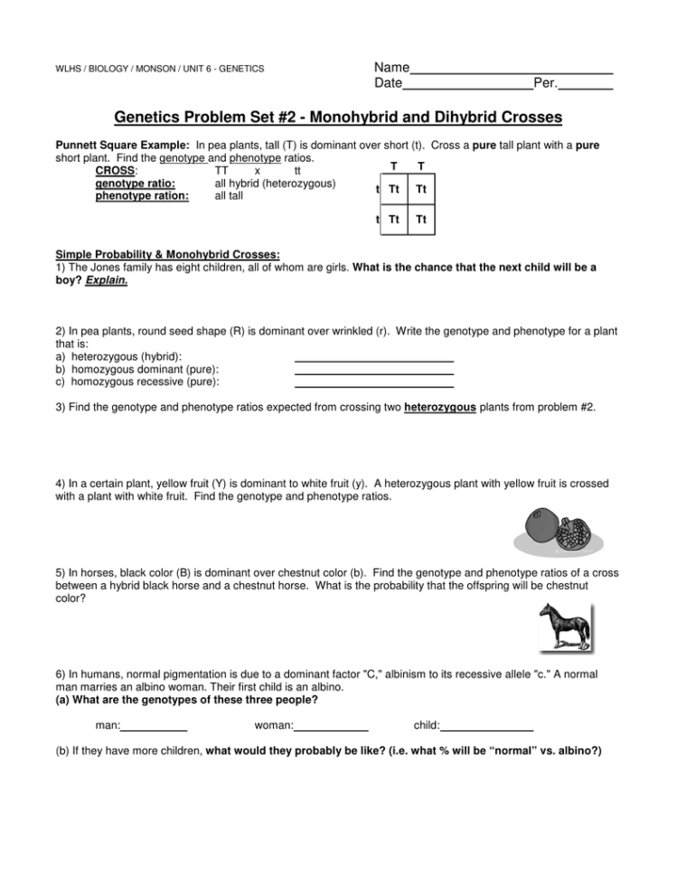 Genetics Problem Set 2  Monohybrid And Dihybrid Crosses