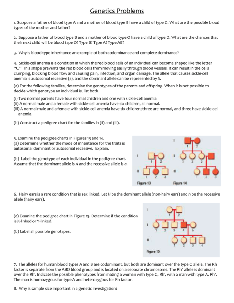 Genetics Problems Worksheet
