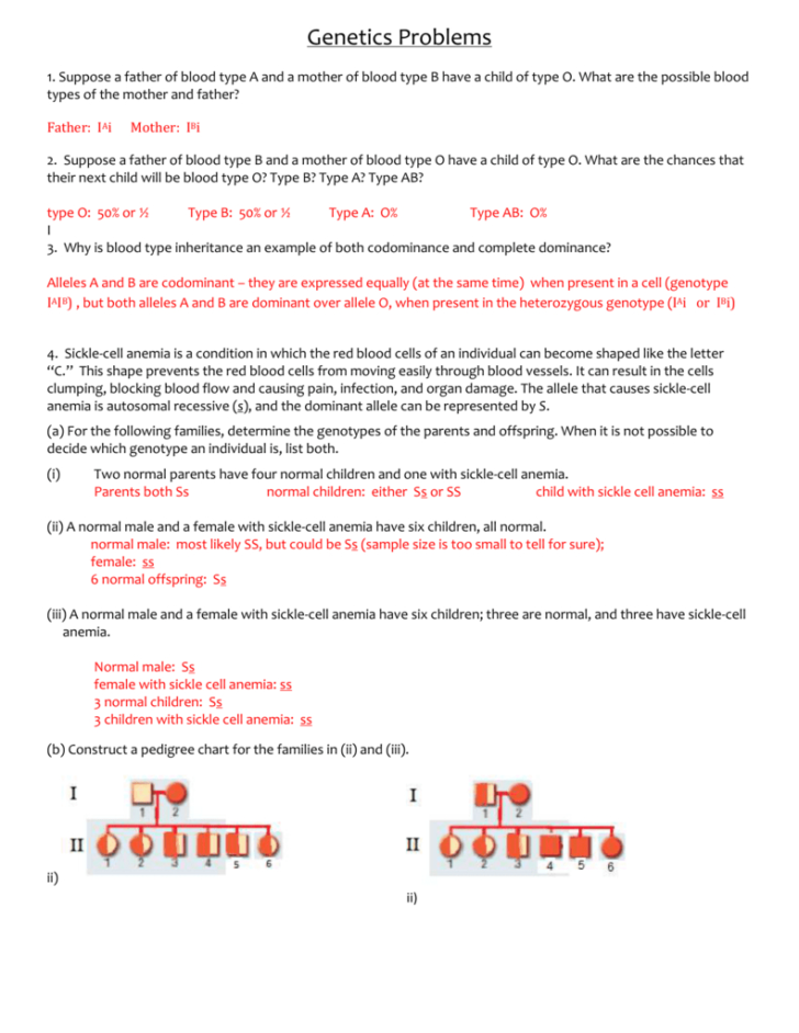 Genetics Worksheet Answers — db-excel.com