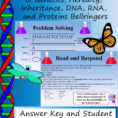 Genetics The Science Of Heredity The Test Cross Worksheet
