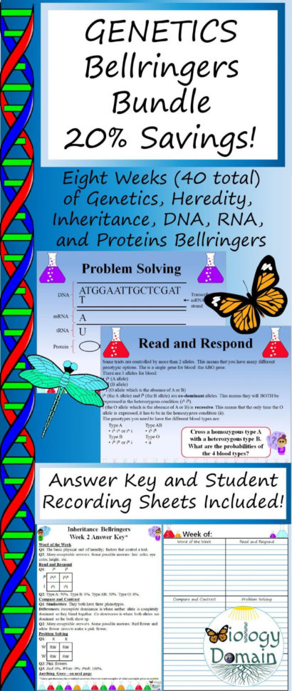 Genetics The Science Of Heredity The Test Cross Worksheet