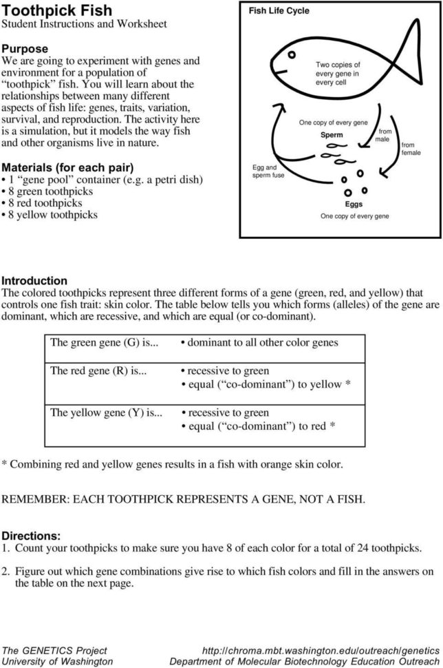 Genetics The Science Of Heredity The Test Cross Worksheet