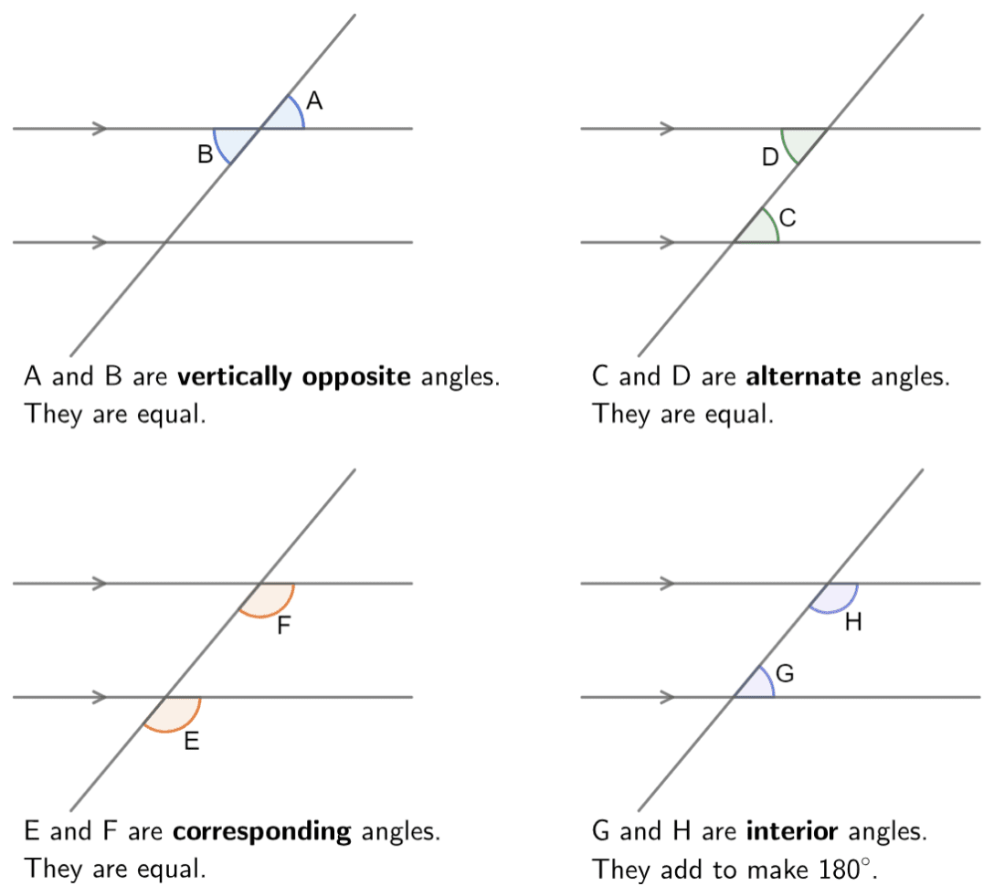 Angles On A Straight Line Worksheet — db-excel.com