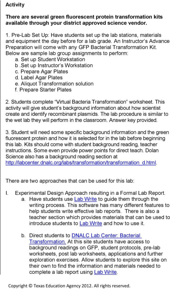 Gfp Transformation Genetic Manipulations  Pdf