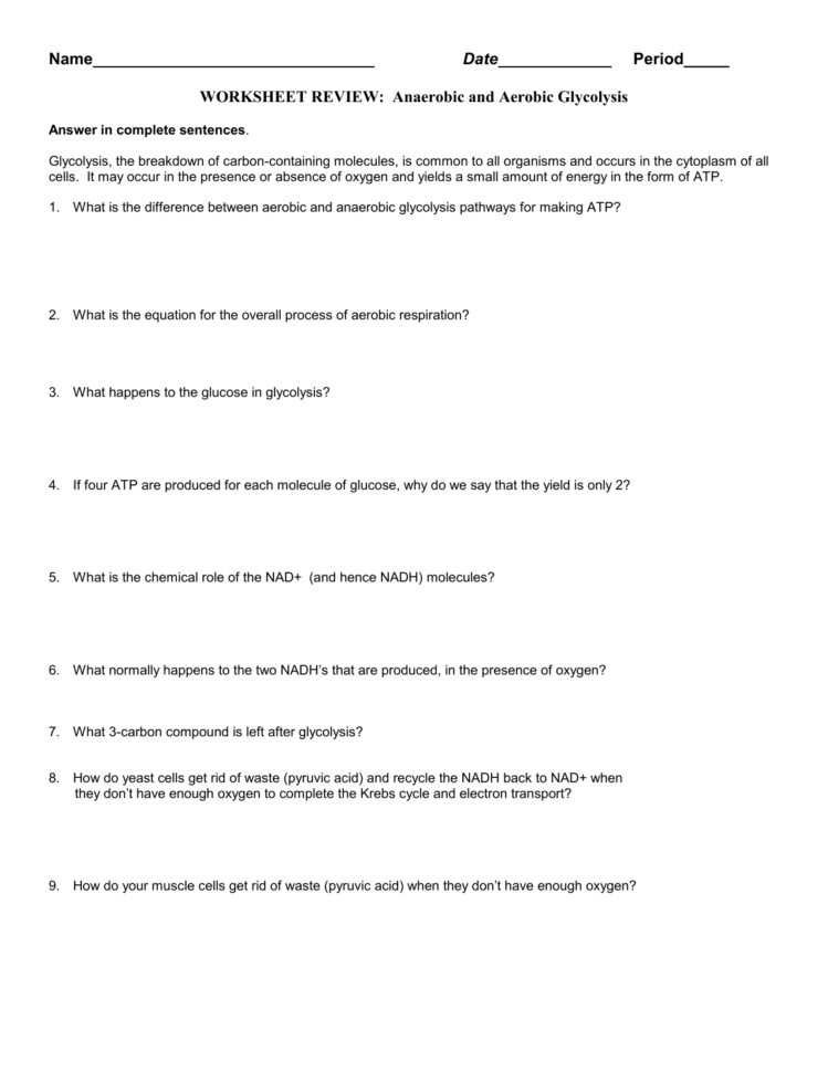 Glycolysis And Respiration Review Worksheet