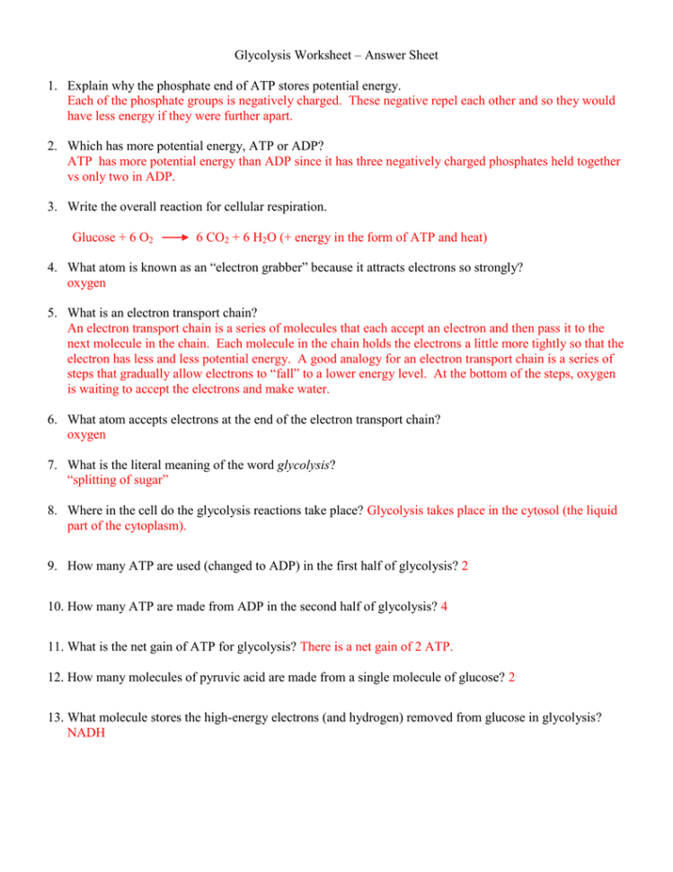 Glycolysis Worksheet