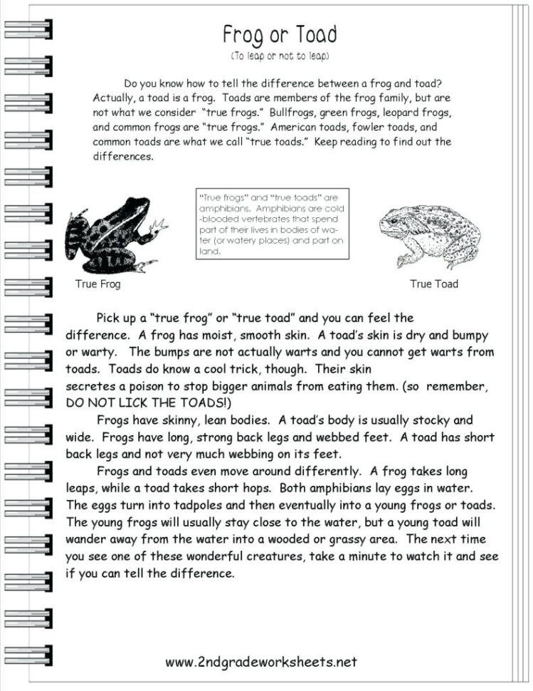 Grade 1 Literacy Worksheets – Sandboxpaperco