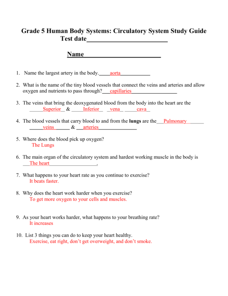 Grade 5 Human Body Systems Circulatory System Study Guide