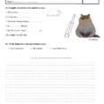Grade 6 English Paper  English Esl Worksheets