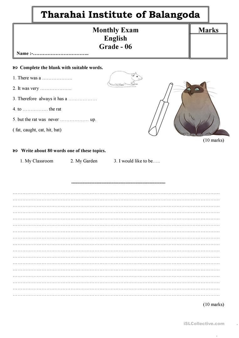 Grade 6 English Paper  English Esl Worksheets