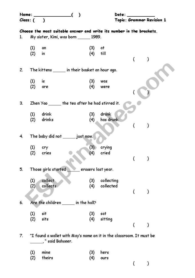 Grammar Practice  Esl Worksheetmus