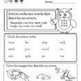 Grammar Practice Worksheet  Free Kindergarten English