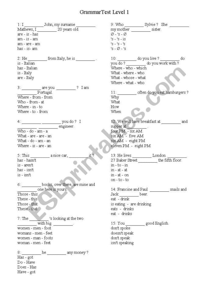 Grammar Test Level 1  Esl Worksheetpeter0510