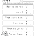 Grammar Worksheet For Kids  Free Kindergarten English Worksheet