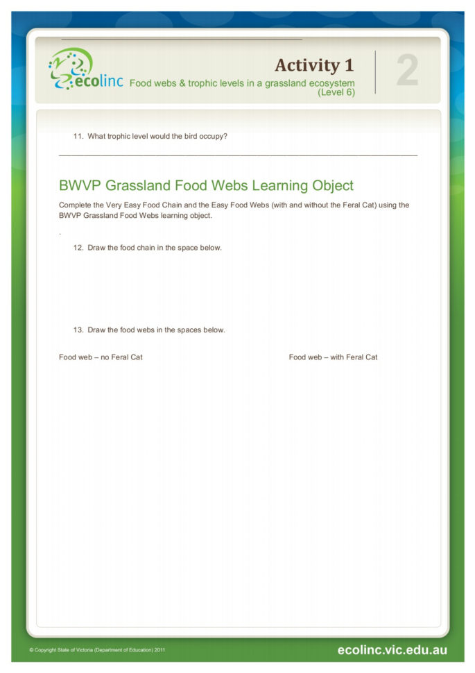 Grassland Food Webs Student Worksheet  Learning Objects