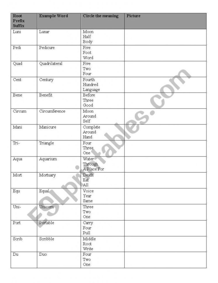 Greek And Latin Roots Worksheets  Soccerphysicsonline