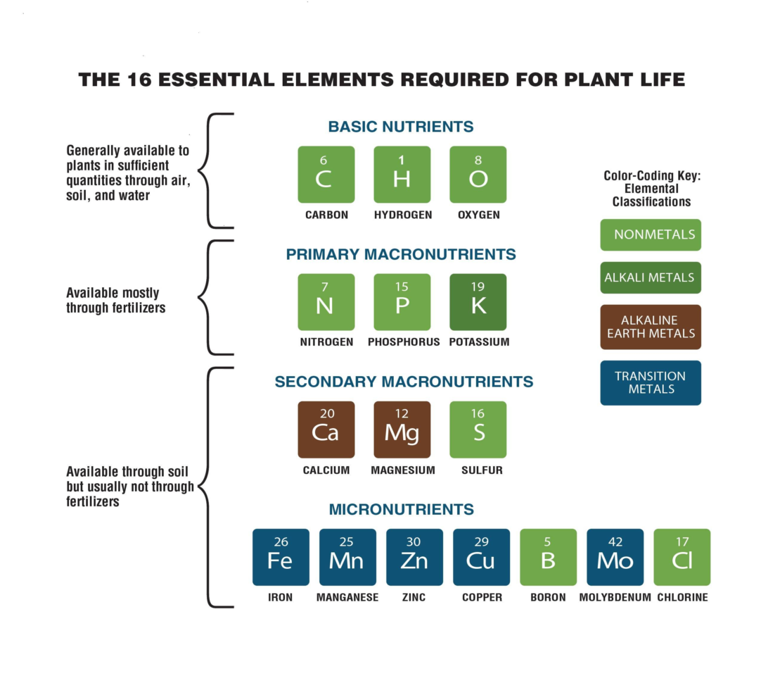 Growing Green On The Red Planet  American Chemical Society