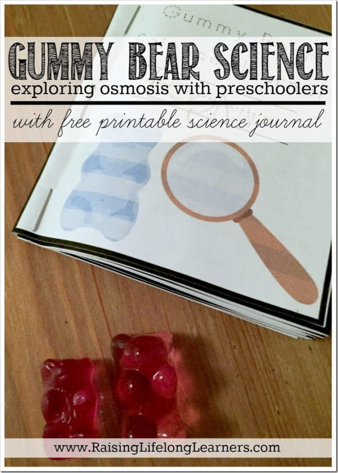 Gummy Bear Science  Exploring Osmosis With Preschoolers