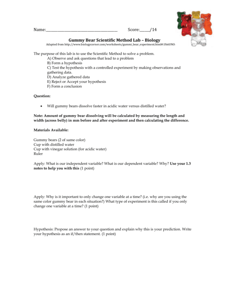 Gummy Bear Scientific Method Lab – Biology