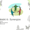 Habit 6 Synergize