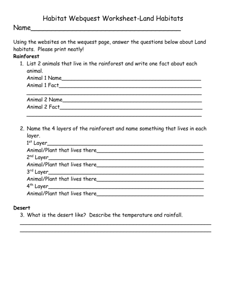 Layers Of The Rainforest Worksheet