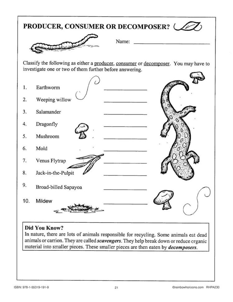 Habitats  Communities Producer Consumer Or Decomposer