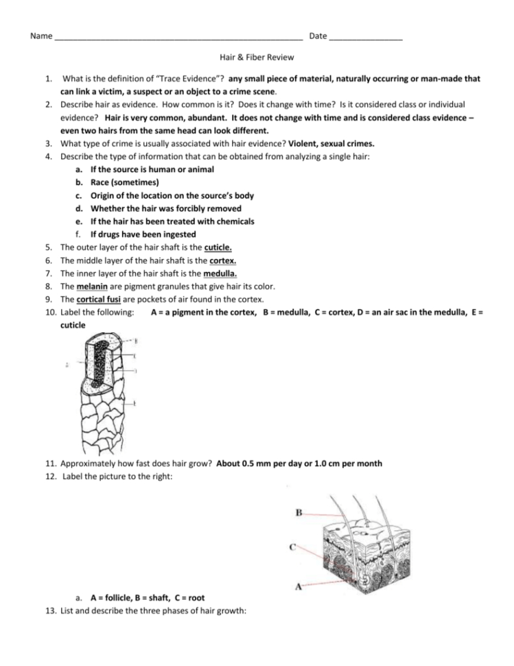 Hair Fiber Test Review Answers