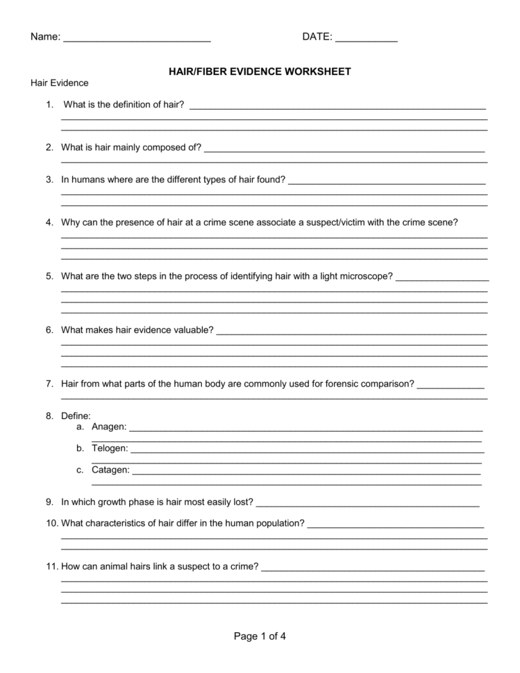 Hairfiber Evidence Worksheet