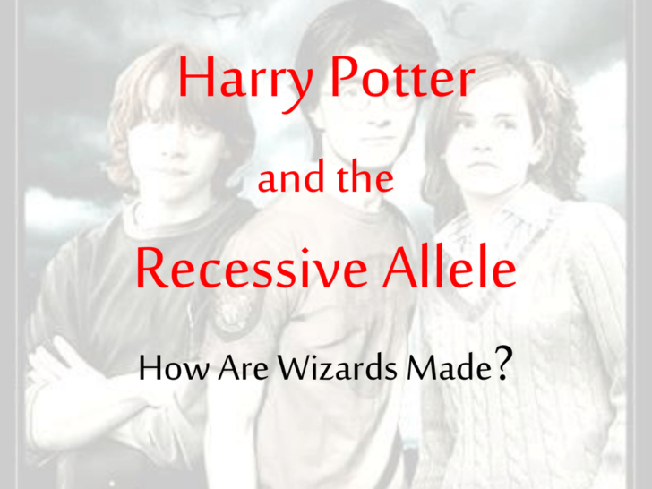Harry Potter Genetics Worksheet