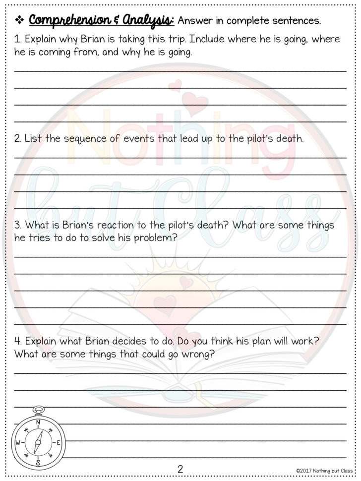 Hatchet Complete Novel Study Unit – Nothing But Class