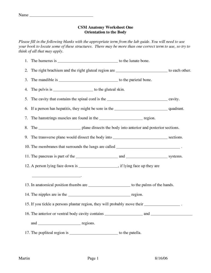 Spanish Worksheets For High School — db-excel.com