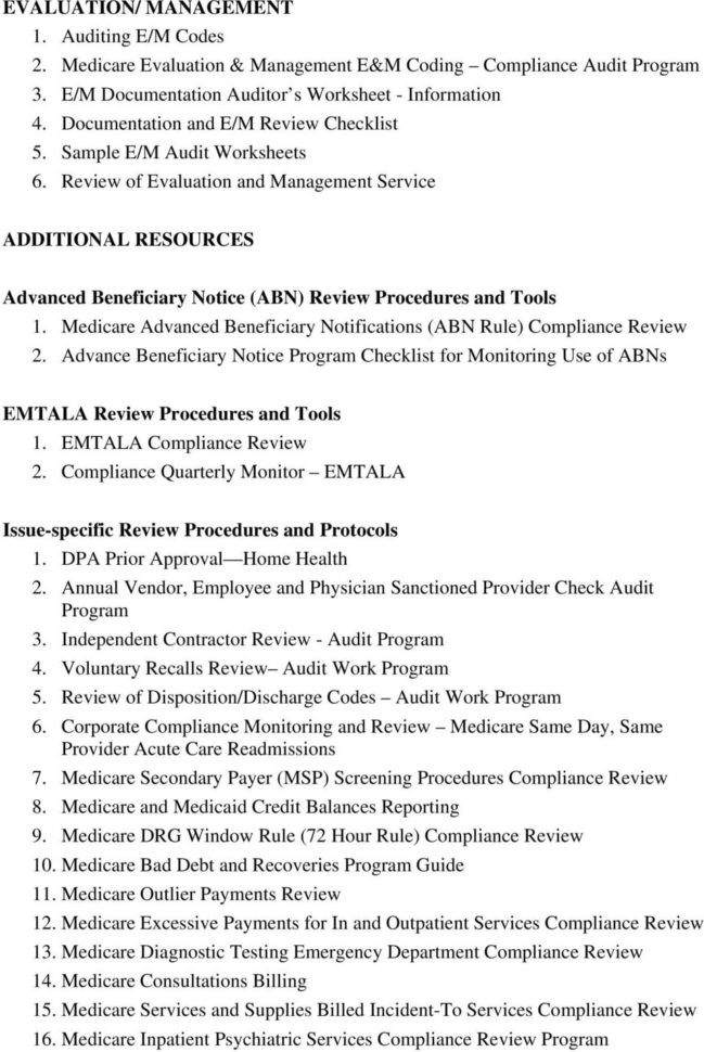 Health Care Auditing  Monitoring Tools  Pdf