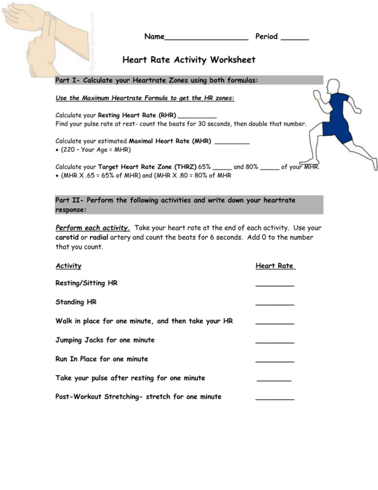 Heart Rate Activity Worksheet