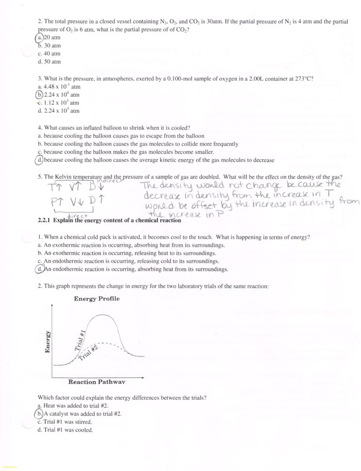 Heating And Cooling Curves Worksheet — db-excel.com