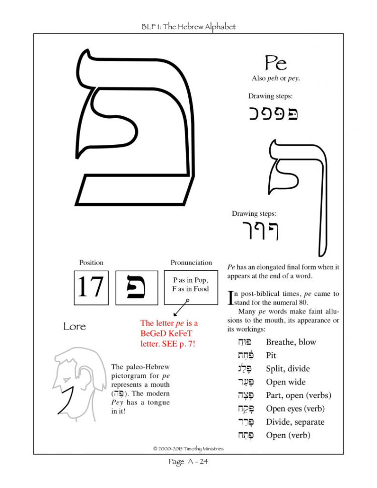 Hebrew Alphabet Letters  Imaxinaria